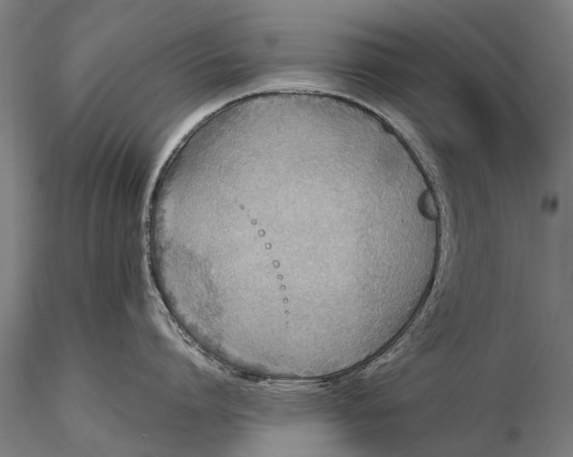 X0000115600864200912011525