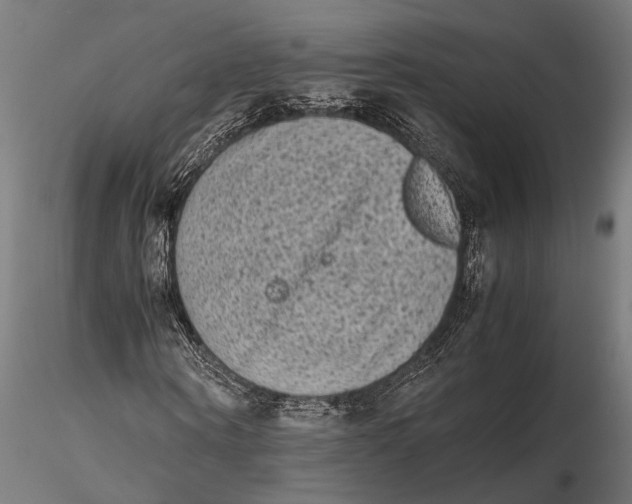 X0000115600866200912011524