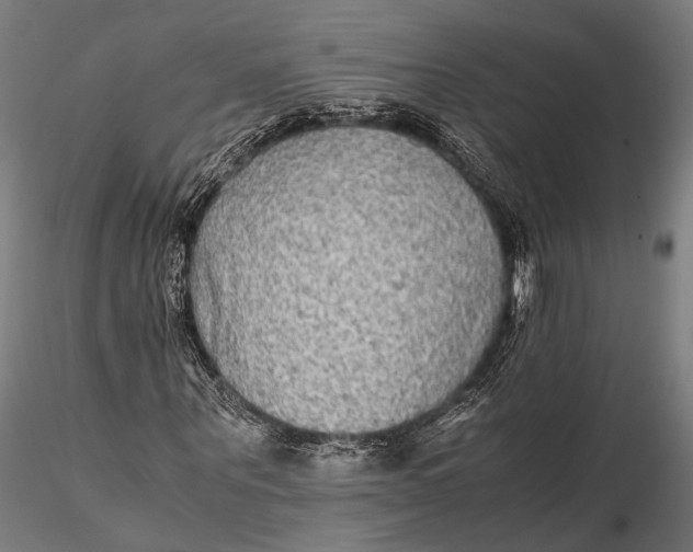 X0000115600867200912011524