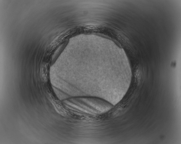 X0000115600868200912011524