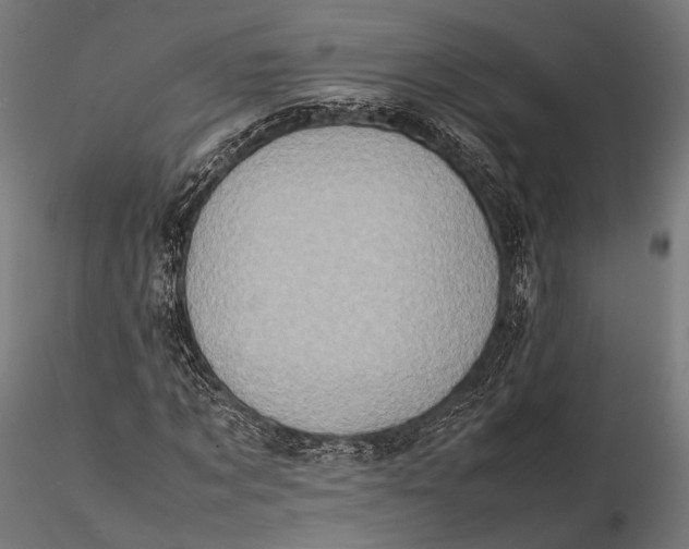 X0000115600869200912011524