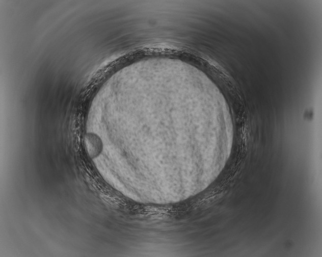 X0000115600870200912011524