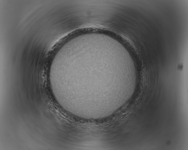 X0000115600872200912011524