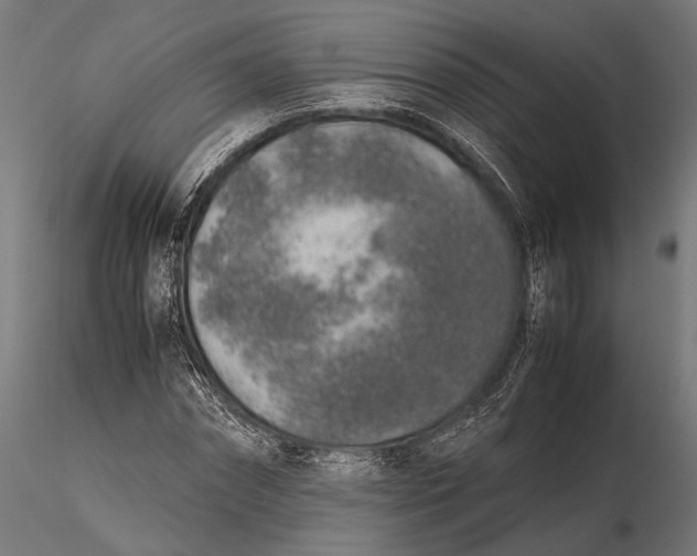 X0000115600874200912011524