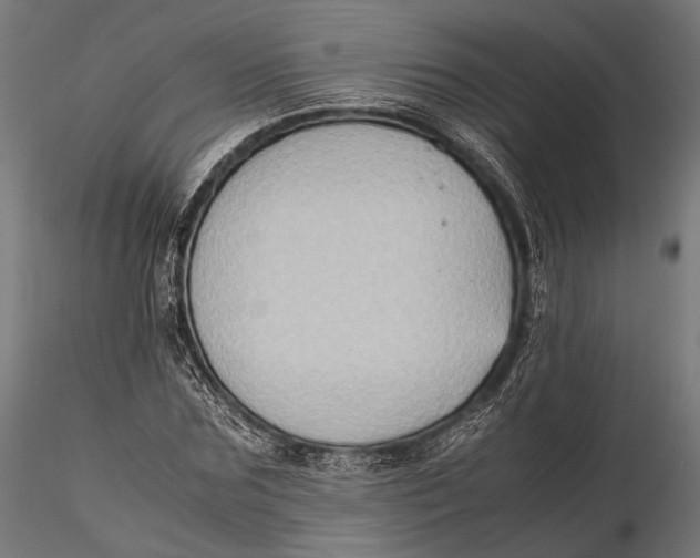 X0000115600875200912011524