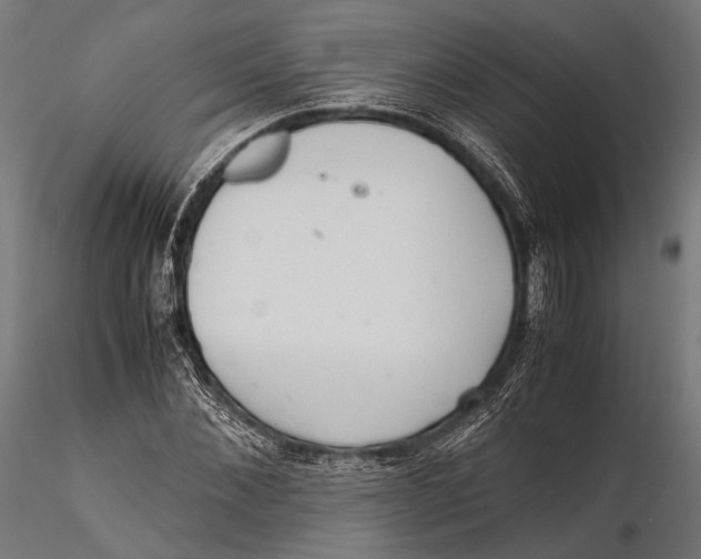 X0000115600876200912011524