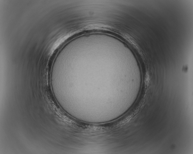 X0000115600877200912011524