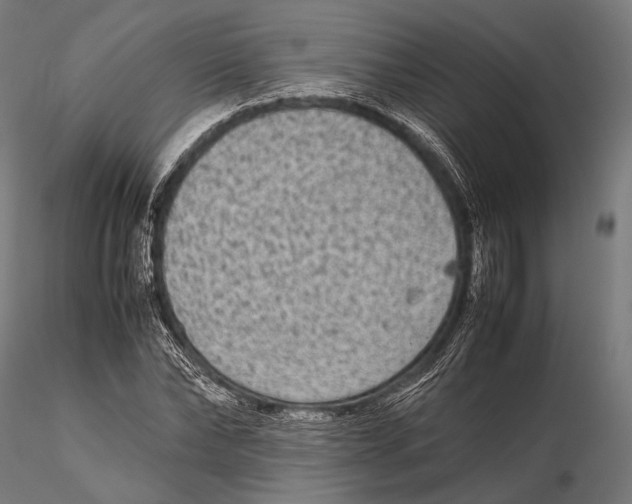 X0000115600878200912011524