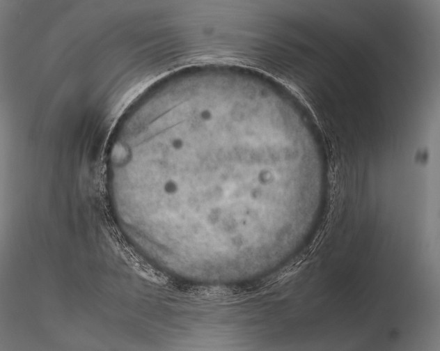 X0000115600879200912011524