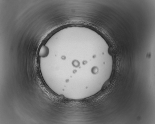 X0000115600880200912011524