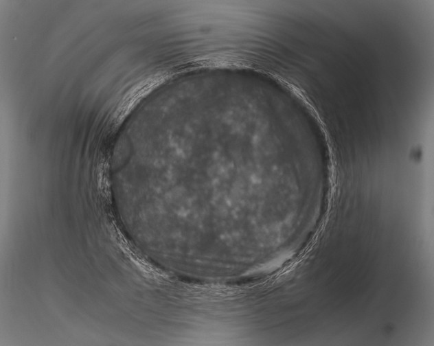 X0000115600881200912011524