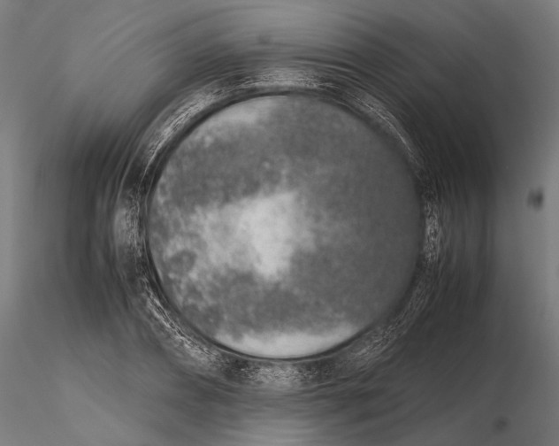 X0000115600882200912011524