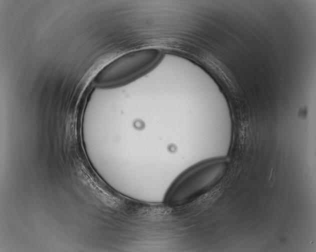 X0000115600884200912011524