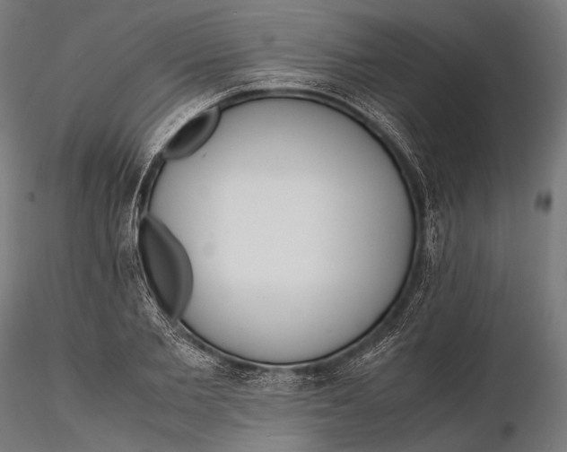 X0000115600885200912011524