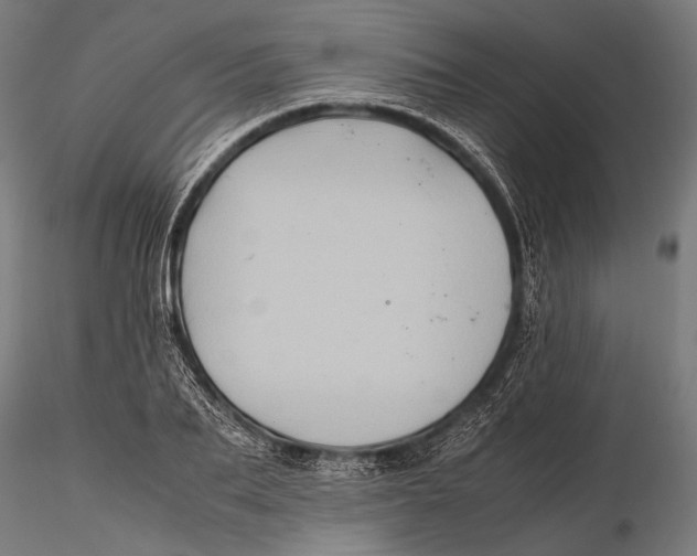 X0000115600887200912011524