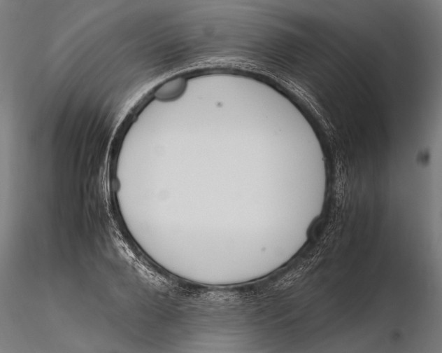 X0000115600888200912011524