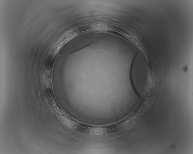 X0000115600889200912011524