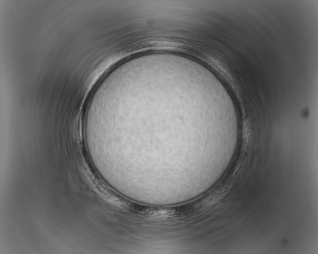 X0000115600891200912011524