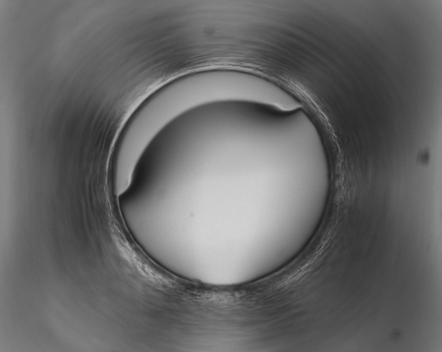 X0000115600892200912011524