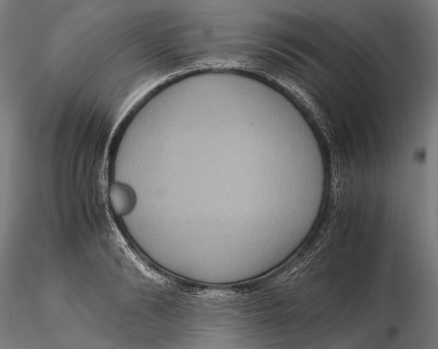 X0000115600894200912011524