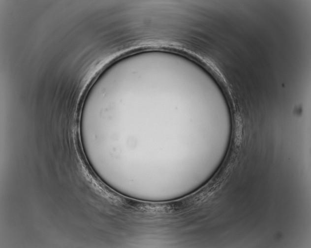 X0000115600895200912011524