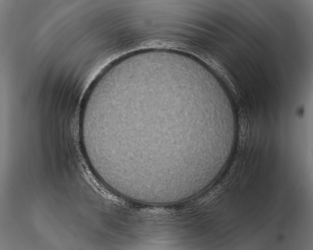 X0000115600896200912011524