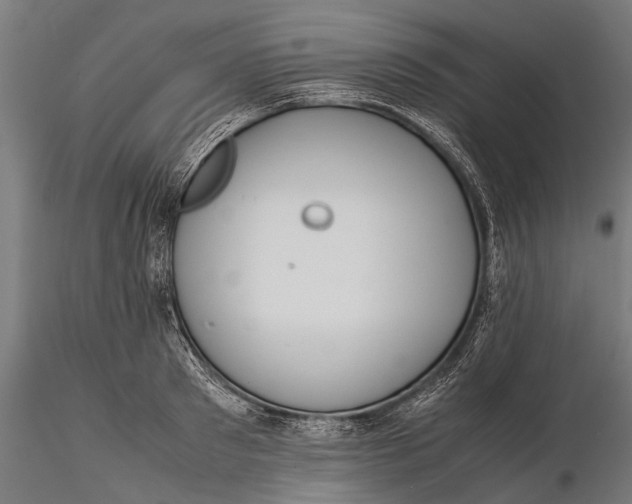 X0000115600897200912011524