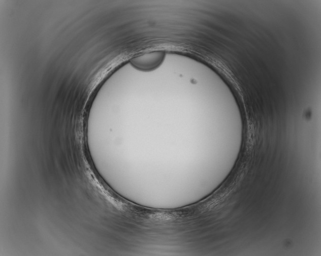 X0000115600898200912011524