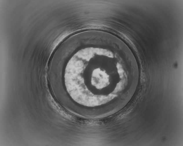 X0000115600899200912011524