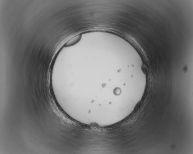 X0000115600900200912011524