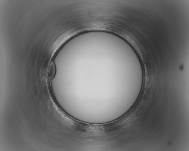 X0000115600901200912011524