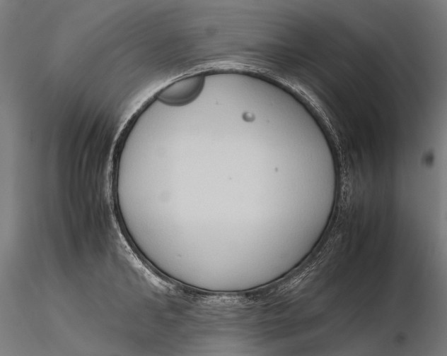 X0000115600902200912011524