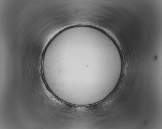 X0000115600903200912011524