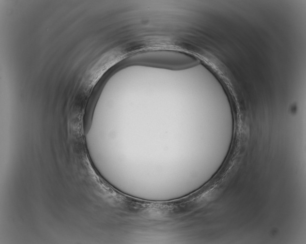 X0000115600905200912011524