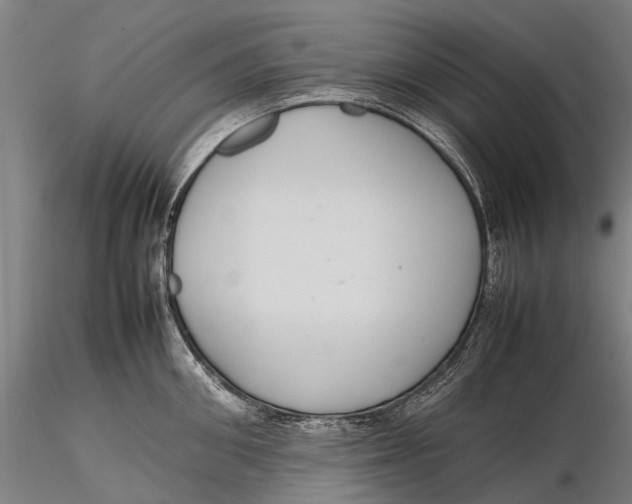 X0000115600906200912011524