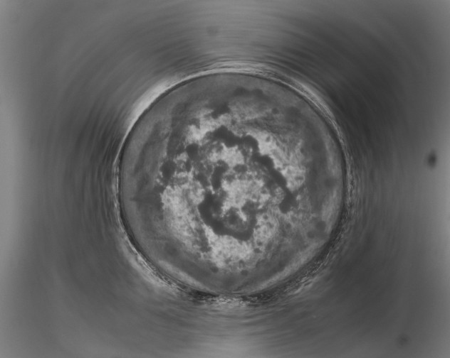 X0000115600907200912011524