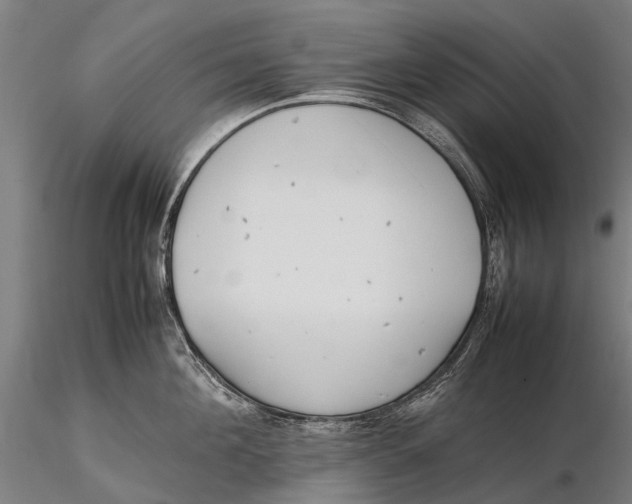 X0000115600908200912011524