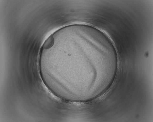 X0000115600910200912011524