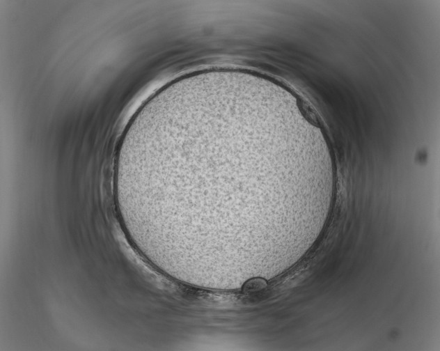 X0000115600911200912011524