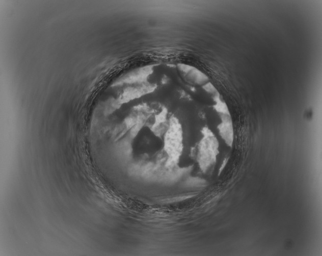 X0000115600913200912011523