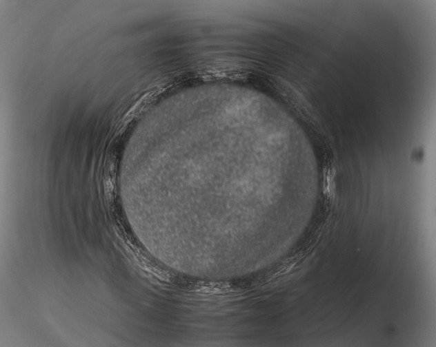 X0000115600915200912011523