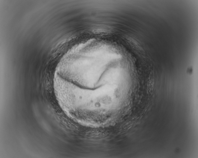 X0000115600917200912011523