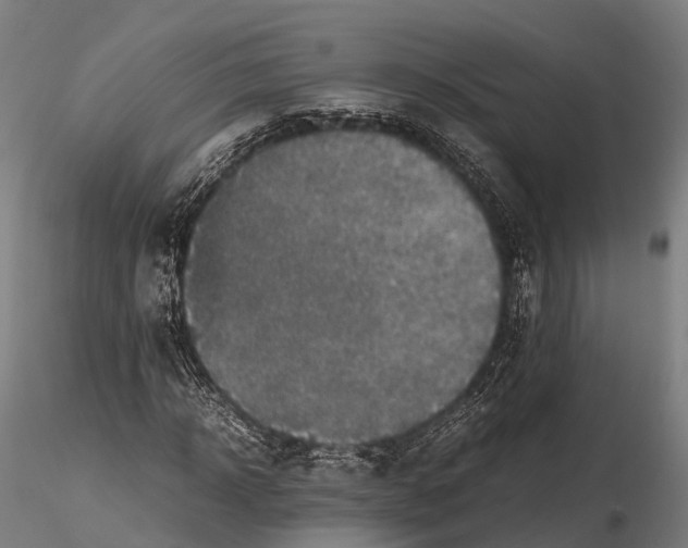 X0000115600918200912011523