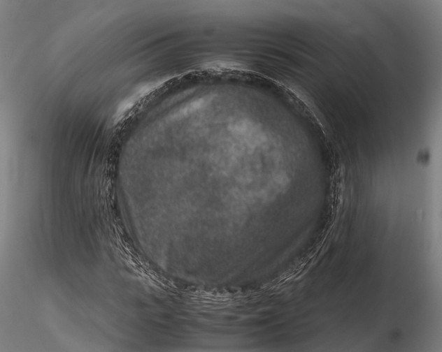 X0000115600919200912011523