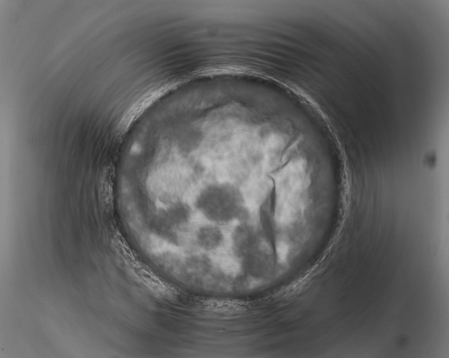 X0000115600921200912011523