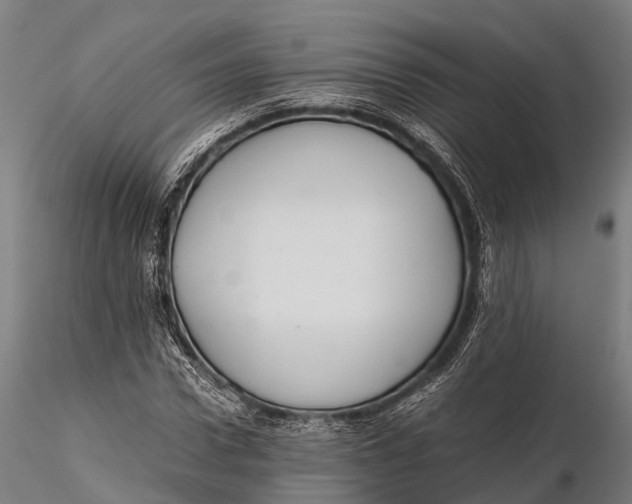 X0000115600922200912011523