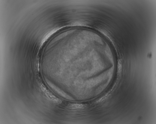 X0000115600925200912011523