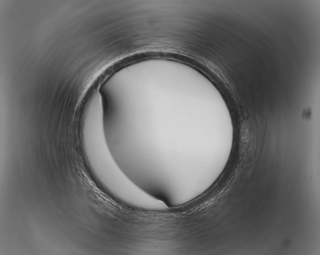 X0000115600926200912011523