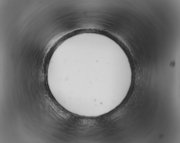 X0000115600927200912011523