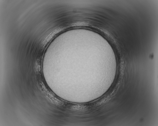 X0000115600929200912011523